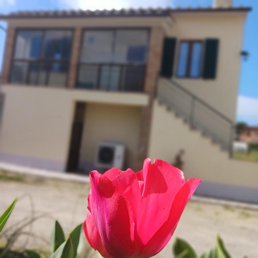 Вилла Casa Di Zio Монтичиано Экстерьер фото